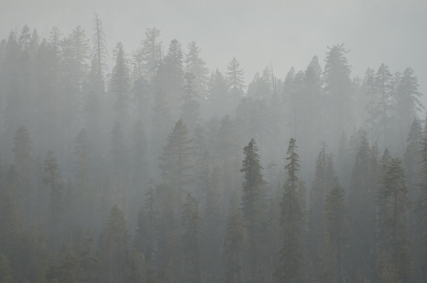 The Importance of Finding Beauty in Hard Times